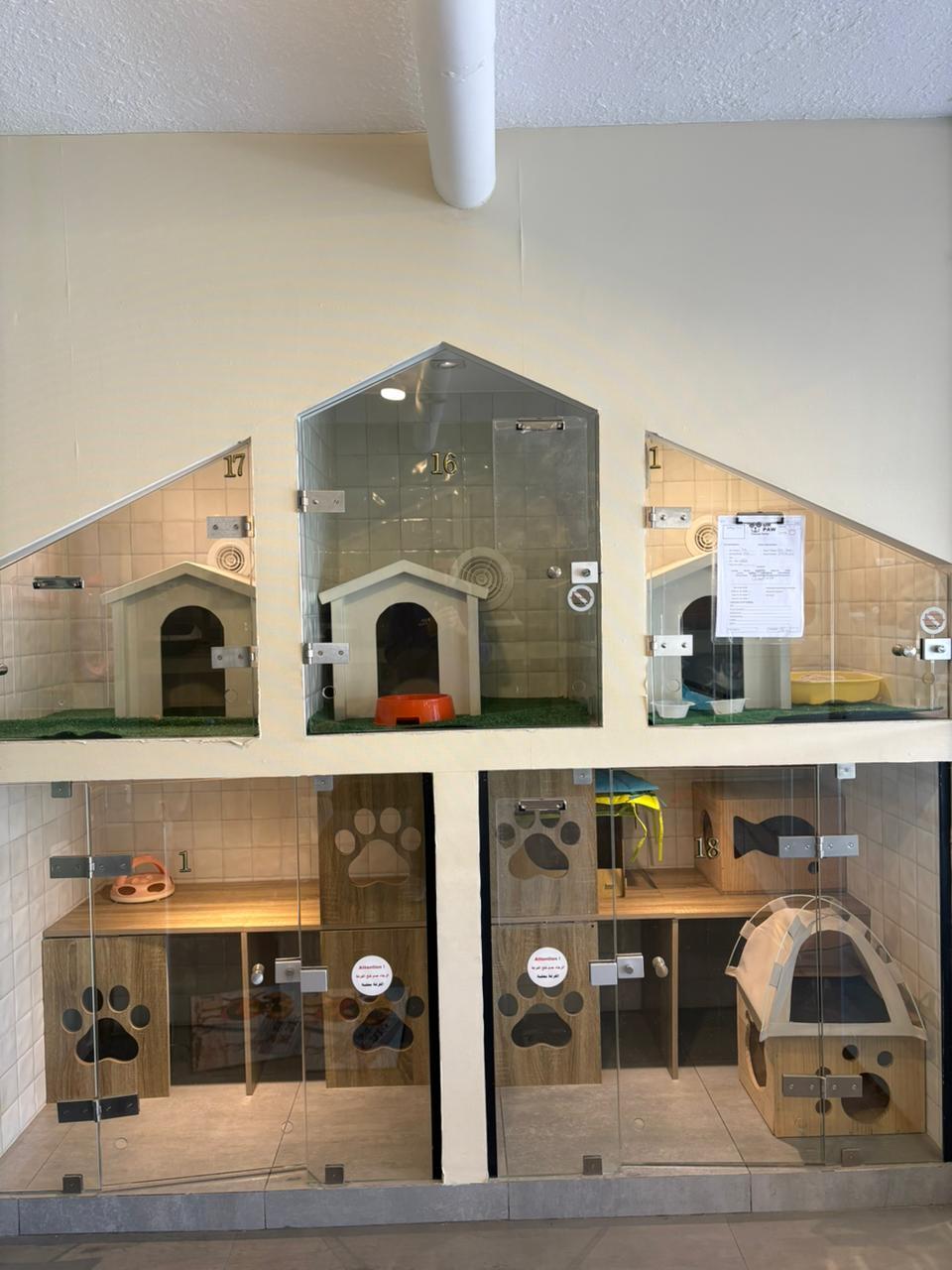 Pet boarding room at DrPaw clinic